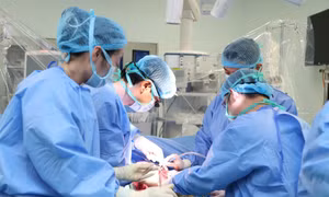 Thực hiện thành công ca ghép gan không cùng nhóm máu ở người lớn