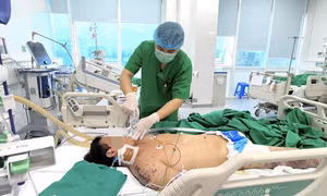 Nguy kịch vì vi khuẩn não mô cầu: Dễ nhầm lẫn với liên cầu khuẩn lợn