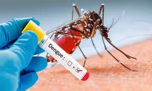 Sốt xuất huyết Dengue diễn biến khó lường, nhiều ca bệnh nặng