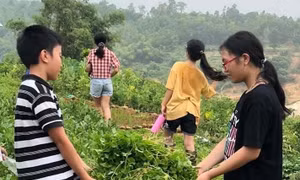 Tổng Chủ biên chương trình giáo dục trải nghiệm: Không bắt buộc đưa học sinh đi xa trải nghiệm