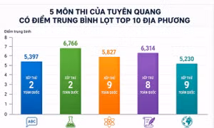 Tuyên Quang có 5 môn lọt top 10 địa phương có điểm trung bình cao nhất toàn quốc