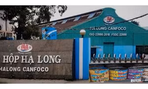NÓI THẲNG: Patê 'bẩn' của Hạ Long Canfoco và những người không thể vô can