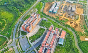 Hà Nội dự kiến di dời các trường đại học ra khỏi khu vực nội đô
