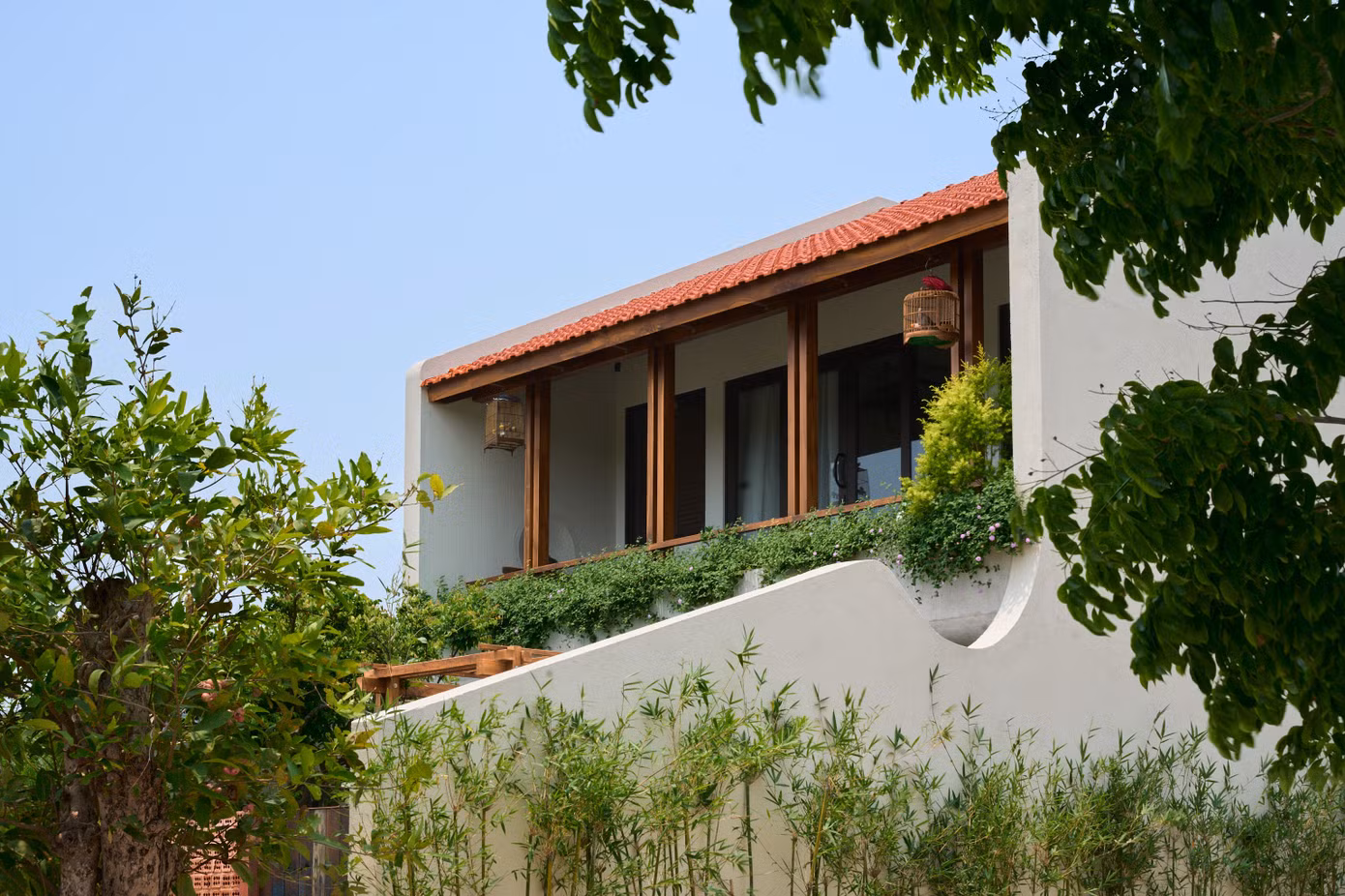 ank00894.jpg