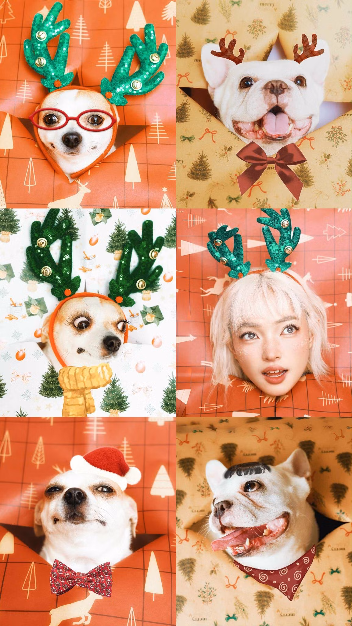 giang-sinh-2025-christmas-chau-bui.jpg