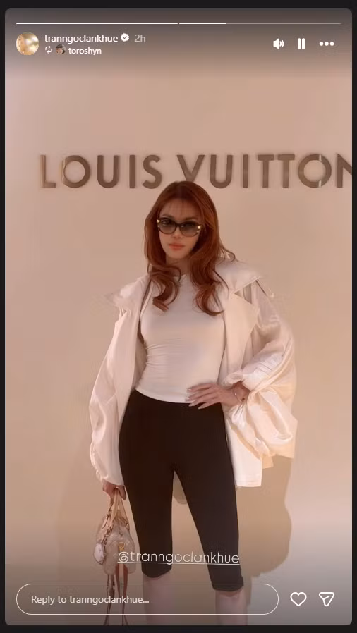 louis-vuitton-100426-50.png