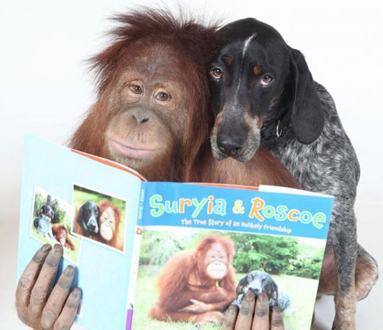 Jinsiy xotini fallus