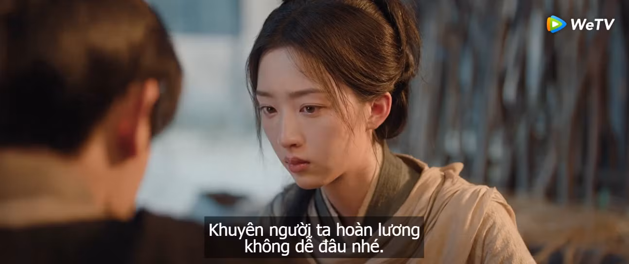 hoa-khai-cam-tu-tap-5-6-7-8-6.png