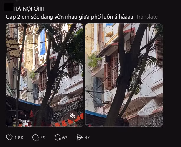 screenshot-2026-07-13-124425-431.png