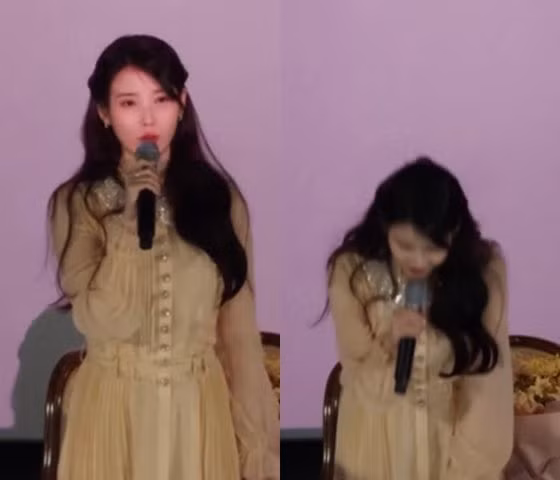 iu-xin-loi.jpg