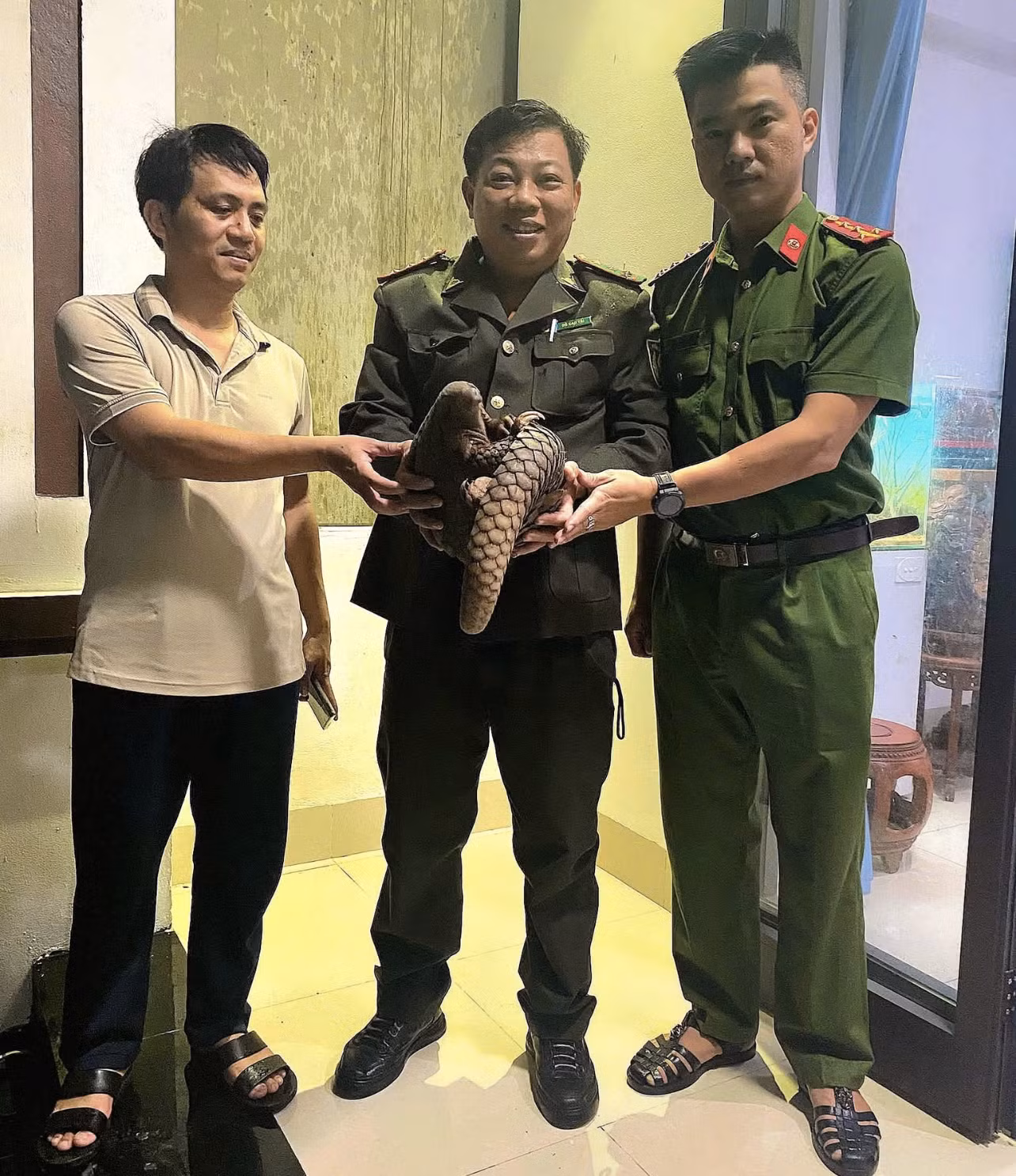 phat-hien-te-te-quy-hiem-bo-tren-duong-pho.png