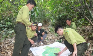 Sức ép biến đổi khí hậu, 'kho báu' xứ Nghệ được gìn giữ thế nào?