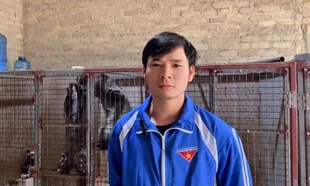 Thanh niên Hà Tĩnh khởi nghiệp với loài ít bệnh dễ nuôi, thu nửa tỉ đồng/năm