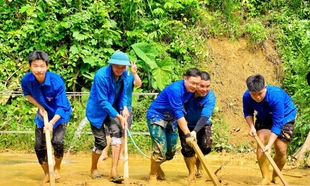 Tuổi trẻ Nghệ An về đích Chiến dịch Thanh niên tình nguyện Hè 2025 với 12 chỉ tiêu đạt và vượt