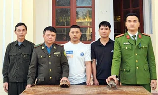 Bắt được 2 cá thể rùa hộp trán vàng quý hiếm tại vườn nhà dân