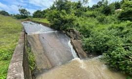 Hơn 130 hồ đập ở Đắk Lắk hư hỏng, xuống cấp 