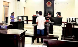 Phạt tù người lái ô tô liên tục bóp còi trên bãi biển ở Đắk Lắk