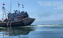 Bắt giữ 6 tàu cá 