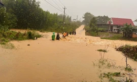 Một người bị sét đánh khi cho tôm hùm ăn, Đắk Lắk thiệt hại nặng vì mưa lũ