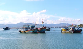 Gia Lai lên kịch bản sơ tán hơn 128.000 dân để ứng phó bão Kalmaegi