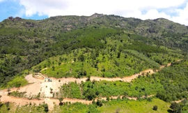 Từ thông tin trên Tiền Phong, Công an vào cuộc vụ ngọn núi nổi tiếng ở Gia Lai bị 'xẻ thịt'