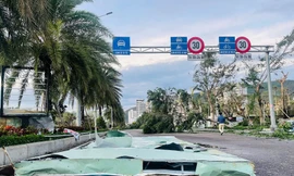 Bão số 13 càn quét, Gia Lai thiệt hại ước tính khoảng 5.000 tỷ đồng