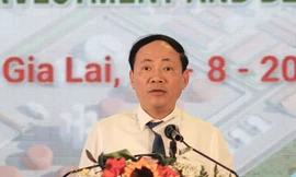 Gia Lai khởi công khu công nghiệp hơn 4,5 nghìn tỷ đồng mang ý nghĩa chiến lược 