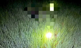 Khởi tố người đặt bẫy chuột bằng điện khiến 2 người tử vong