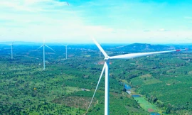 Hai nhà máy điện gió gần 4.000 tỷ đồng ở Gia Lai vận hành sau nhiều năm gỡ vướng