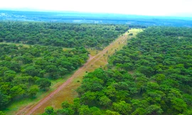 Chấp thuận chủ trương đầu tư sân golf nghìn tỷ ở Gia Lai