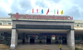 Đi rẫy ăn thịt cóc, 9 em nhỏ bị ngộ độc