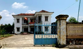 Khởi tố, tạm giam Chi Cục trưởng Kiểm lâm tỉnh Gia Lai 