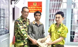 Trưởng thôn huy động người dân ra bắt cá thể tê tê đi 'lạc'