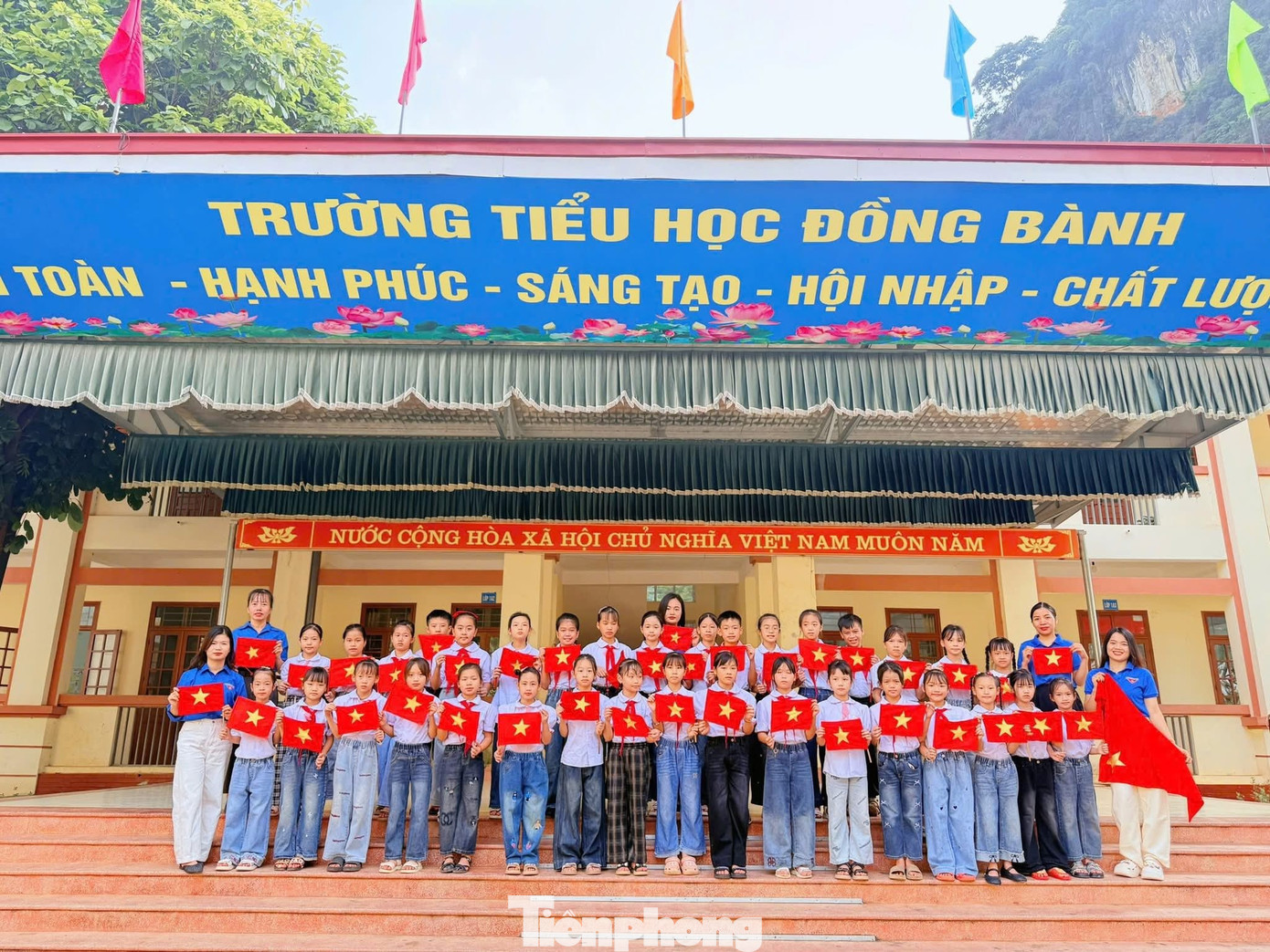 tp-p1.jpg