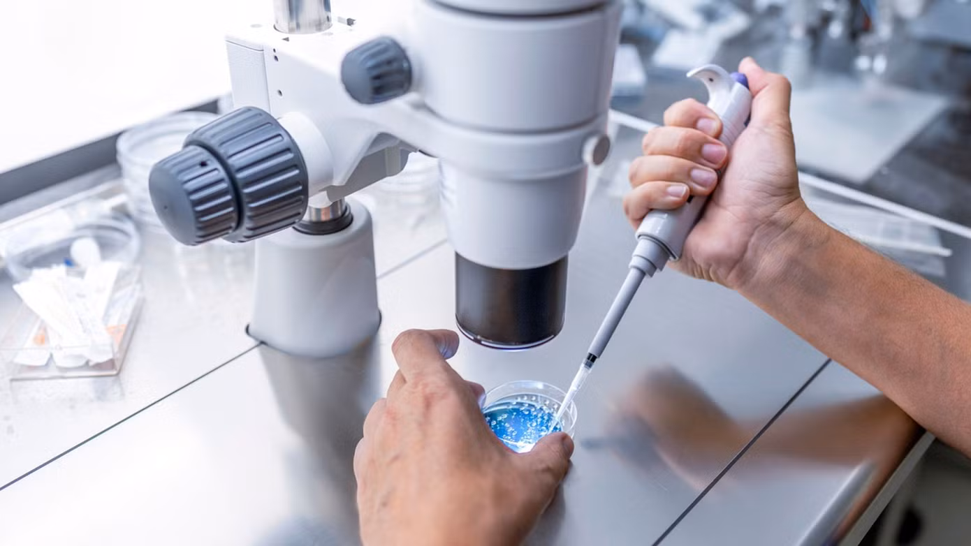 skynews-embryo-fertility-lab-7037541.jpg