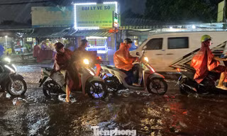 Tác động của bão Ragasa, TPHCM mưa dông liên tiếp