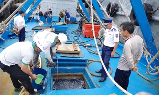 Phát hiện tàu cá ở vùng Nam biển Đông chở 100.000 lít dầu DO không rõ nguồn gốc
