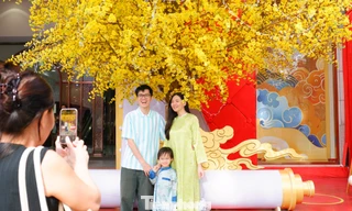 Phố phường TPHCM rộn ràng sắc xuân từ rất sớm