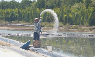 Du lịch 'gõ cửa', cải thiện kinh tế người dân