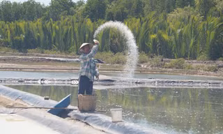 Du lịch 'gõ cửa', cải thiện kinh tế người dân