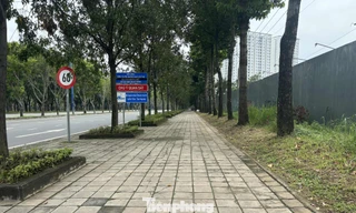 Cận cảnh tuyến đường đầu tiên ở TPHCM sẽ cải tạo thành làn xe đạp 