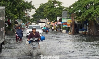 Triều cường rằm tháng Chạp ở TPHCM có thể chạm báo động 3, nguy cơ ngập vùng trũng
