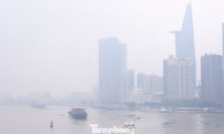 Bầu trời TPHCM tối sầm, sương mù dày đặc từ sáng sớm