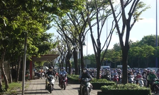 Sắp có làn riêng cho xe đạp ở TPHCM