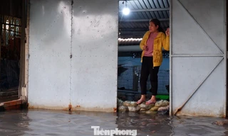 Vật vã 'be bờ, tát nước' bên cạnh dự án chống ngập 10.000 tỷ