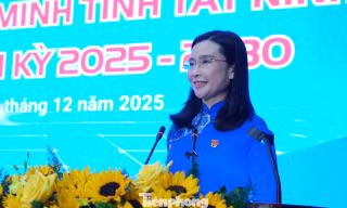 Thanh niên Tây Ninh xung kích chuyển đổi số, phát triển chiến lược tỉnh biên giới