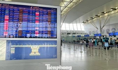 Hãng hàng không dùng AI lập lịch bay, chọn máy bay