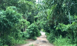 Nghi án con trai sát hại mẹ ruột, chém trọng thương chị gái