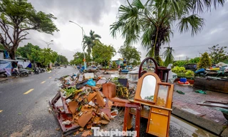 Bao nhiêu năm tích góp, mất hết rồi