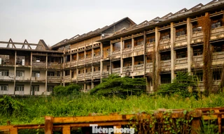 Cảnh hoang tàn bên trong ngôi trường 'đắp chiếu' 8 năm ở TPHCM